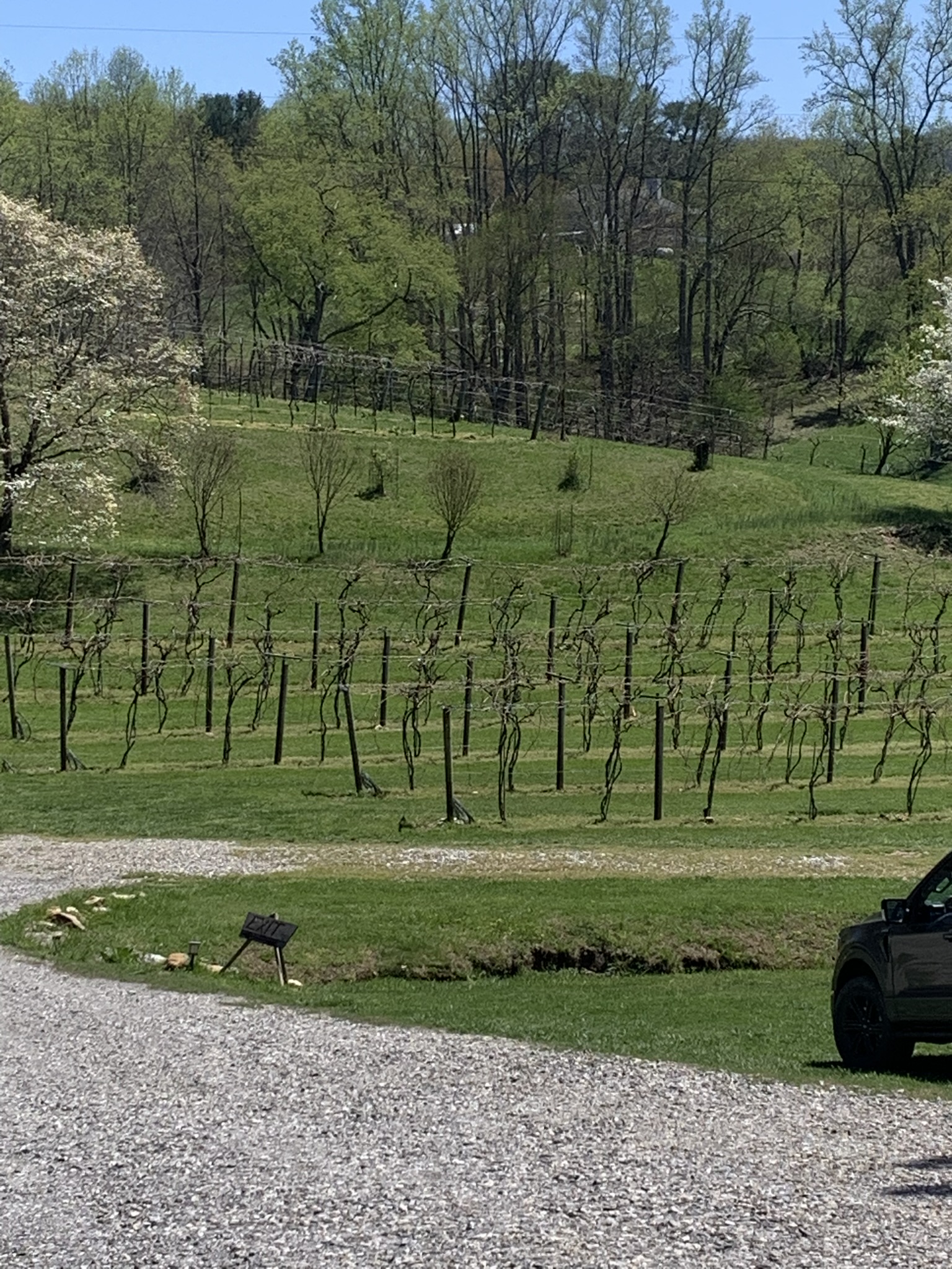 Redtail Mountain Winery – Winery Review