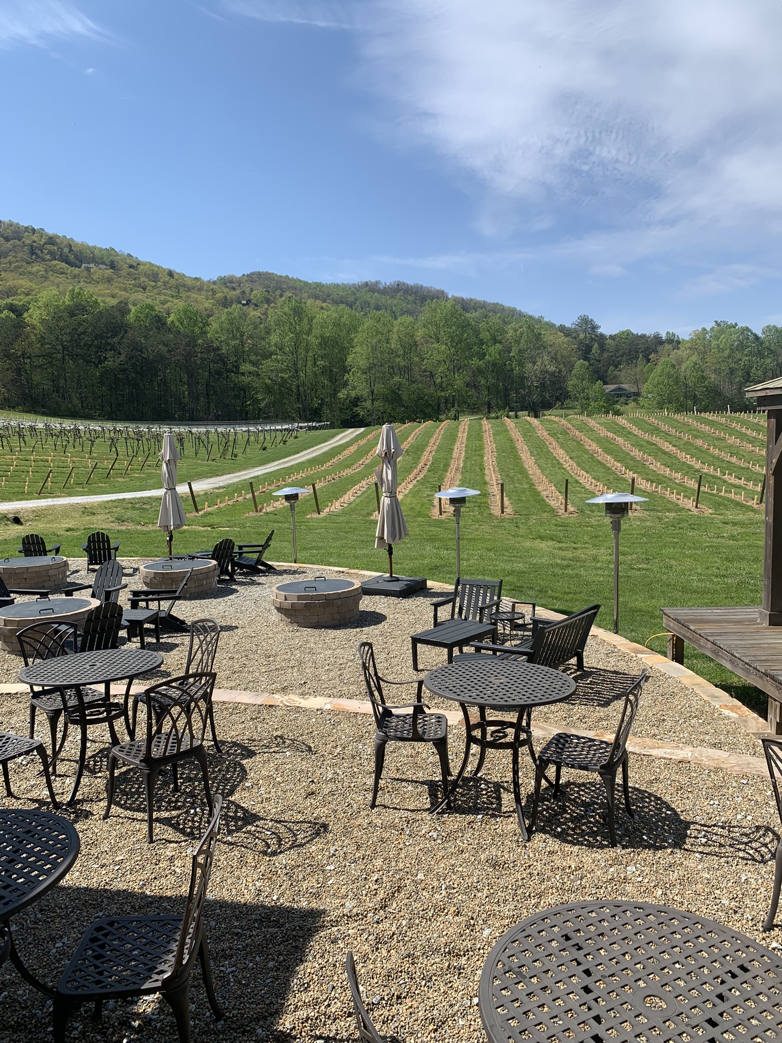 Tiger Mountain Vineyards – Winery Review – Tiger, Georgia