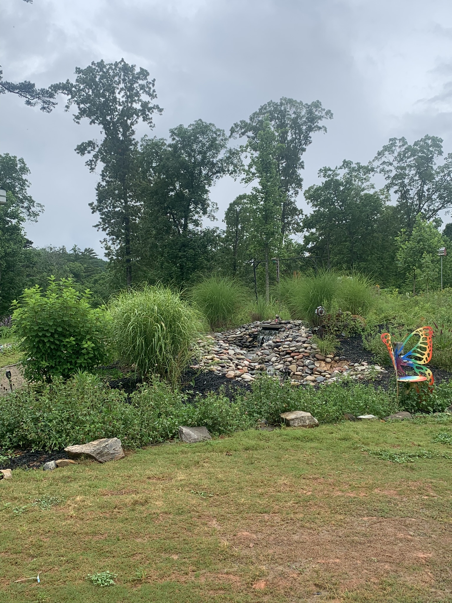 Dahlonega Butterfly Farm and Tasting Room – Review