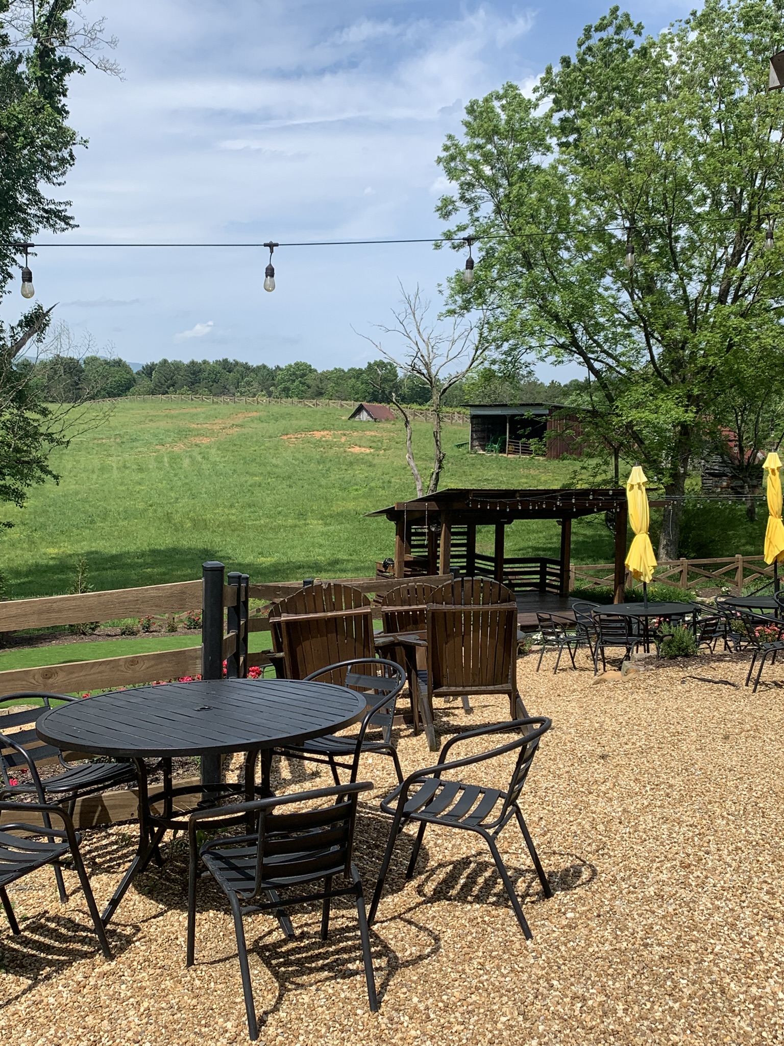 Buckley Vineyards (Ellijay) – Winery Review