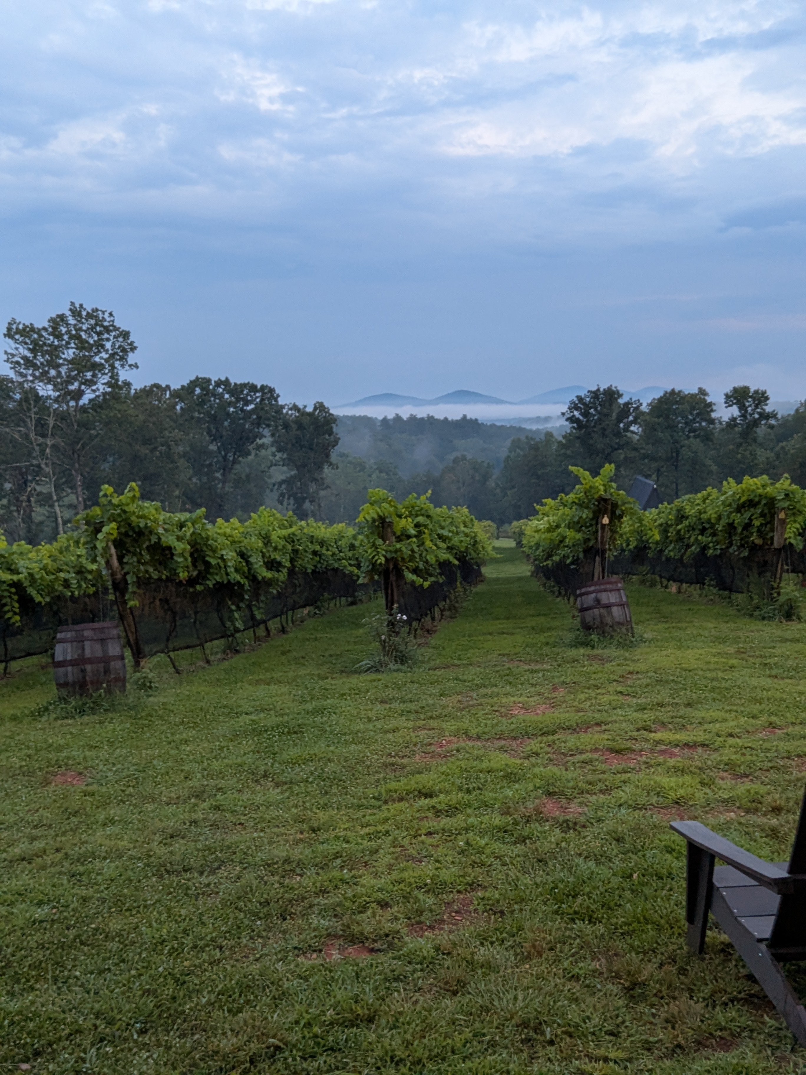 Limoges Cellars’ Sunset Supper – Wine and Food Review August 31, 2025