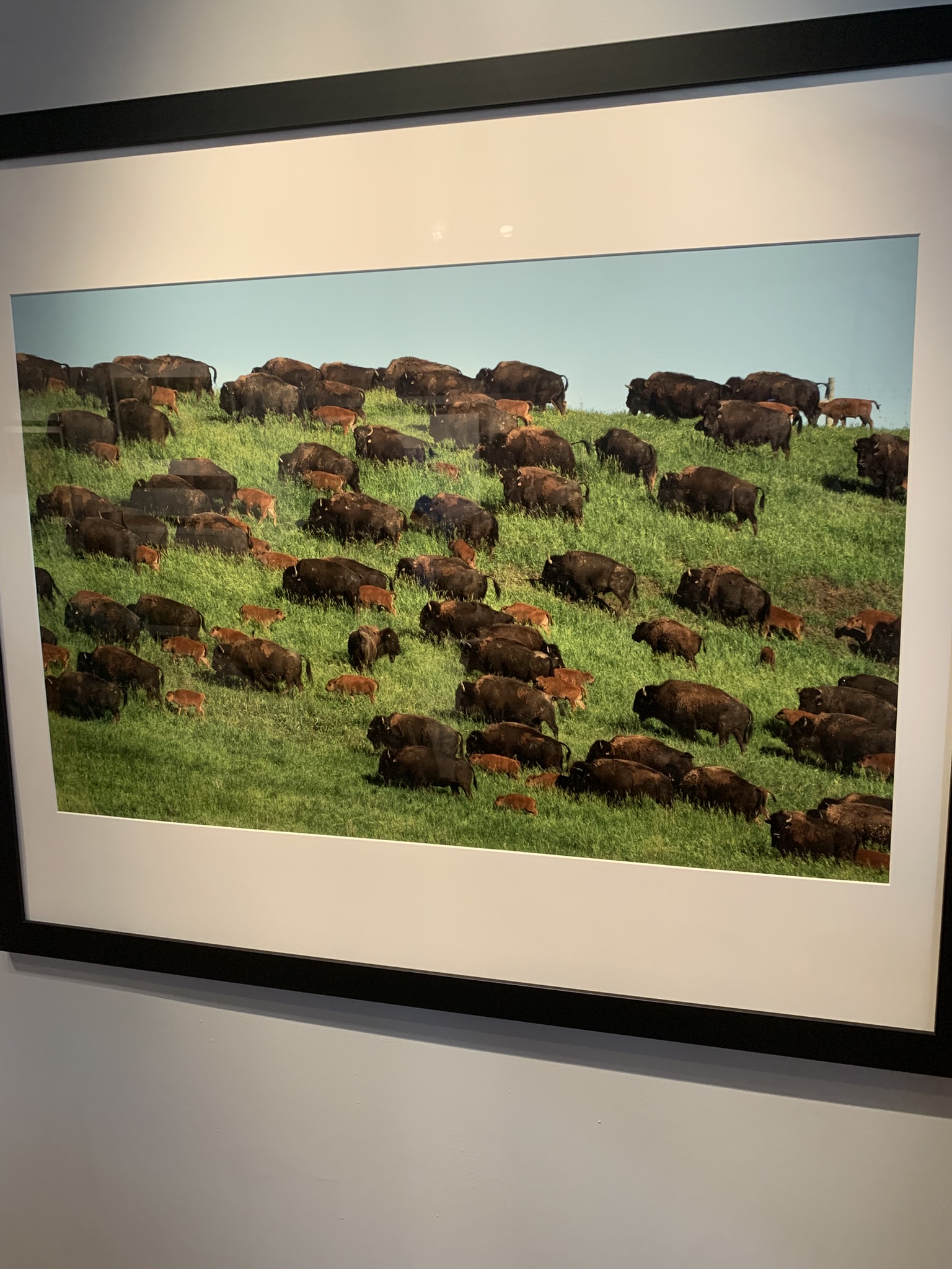 Art Review – “Conserving America’s Wildlands: The Vision of Ted Turner” – Photographs by Rhett Turner