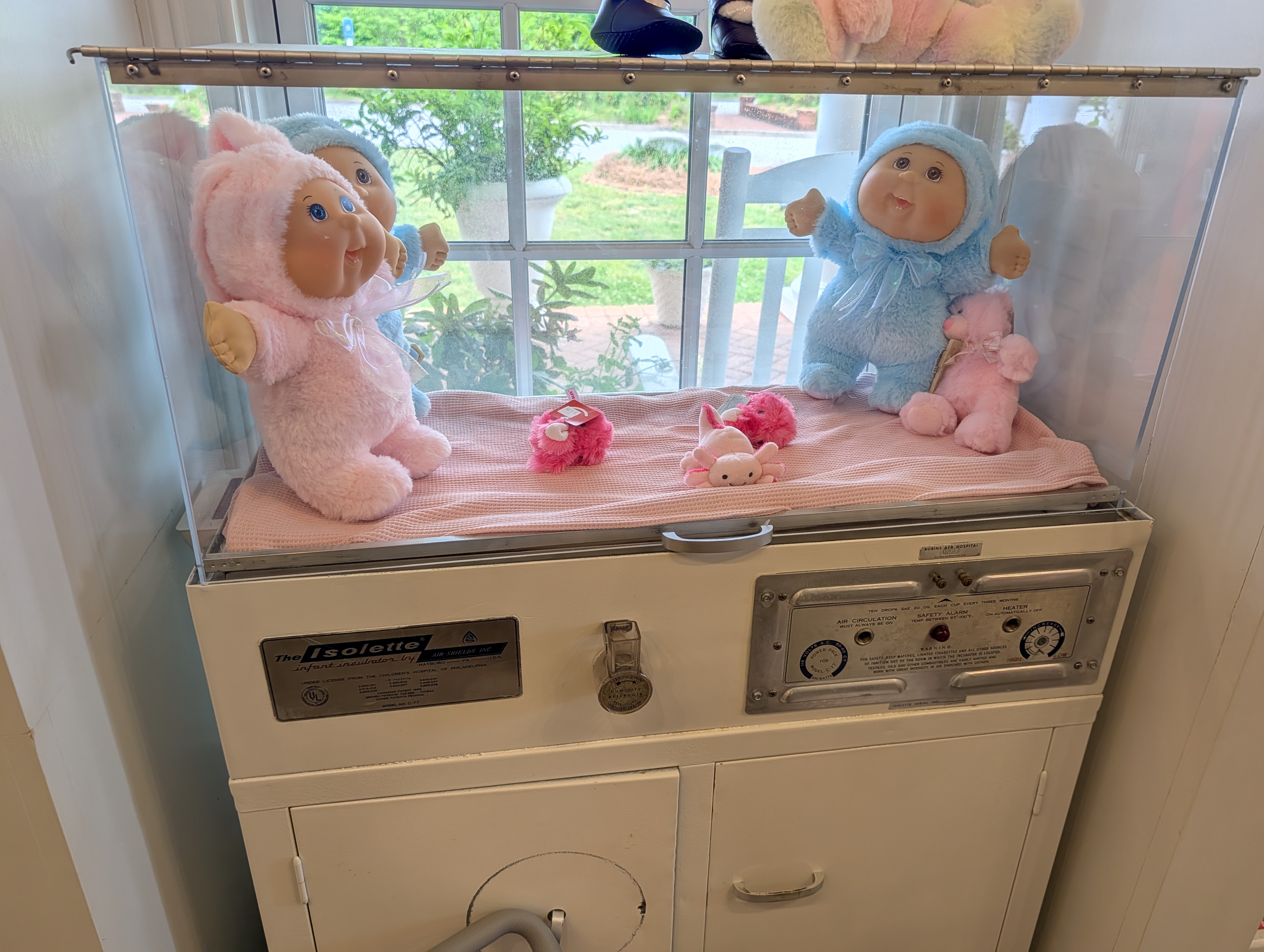 Magical Trip to Babyland General, one of North Georgia’s finest attractions