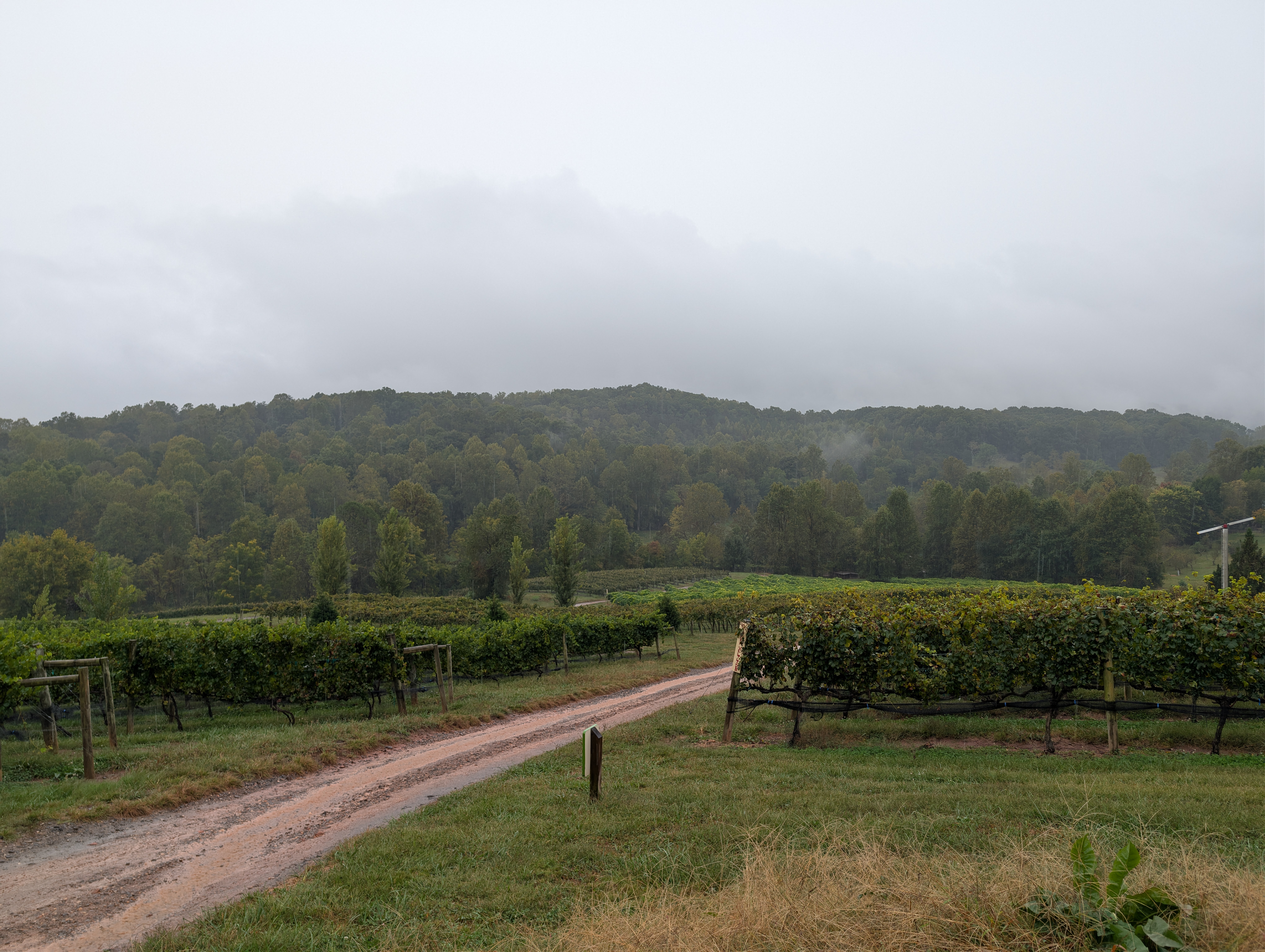 Crane Creek Vineyards – Wine Review